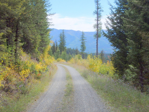 Riding downhill.